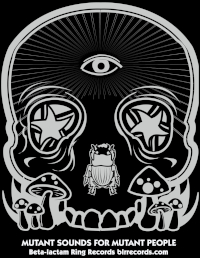 BlRR Logo